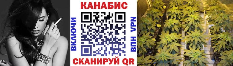 Купить закладку Конопля  Alpha-PVP  Гашиш  МЕФ  Корсаков