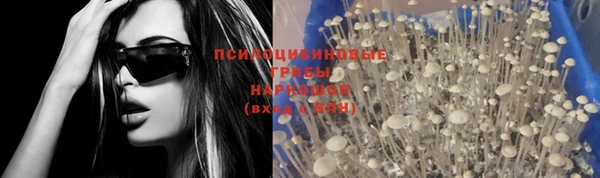 шишки Зеленодольск