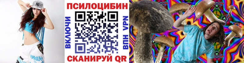 Галлюциногенные грибы мицелий Купить где Корсаков
